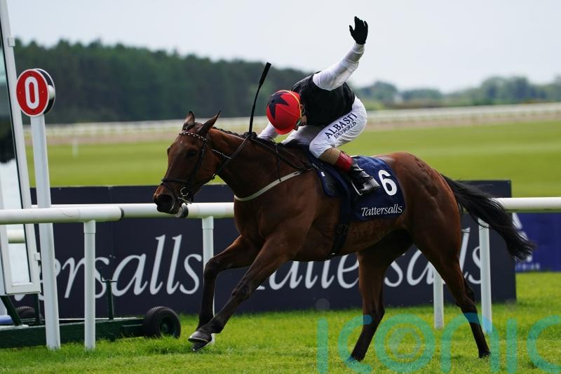 Homeless Songs ‘in great order’ for Leopardstown showdown