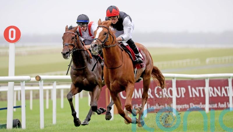 Kyprios makes class count in Irish St Leger