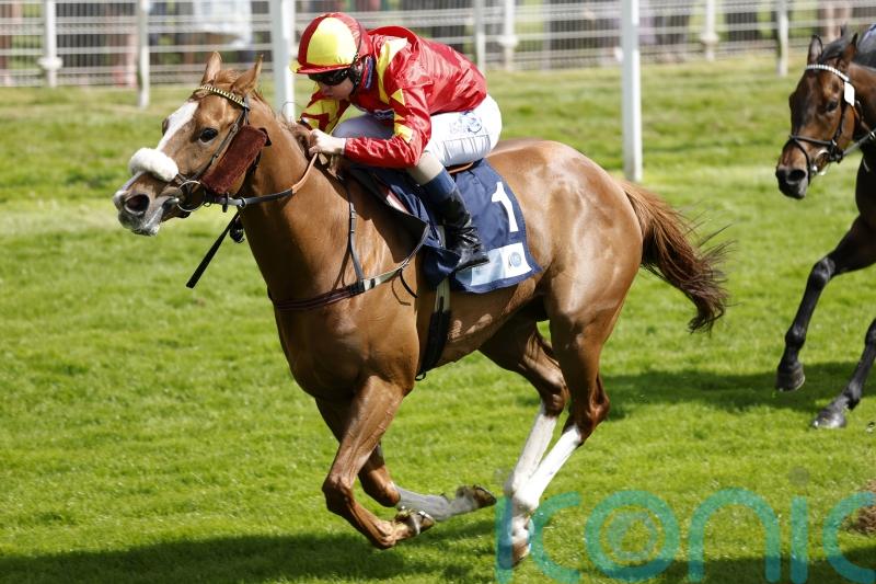 Maya aiming to cap ‘marvellous’ year with Scottish Sprint success