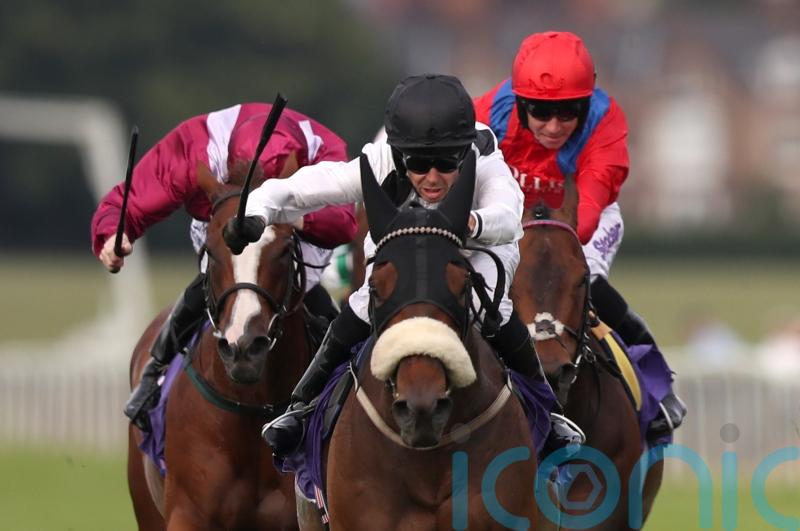 Ever-popular Judicial rolls back the years at Beverley