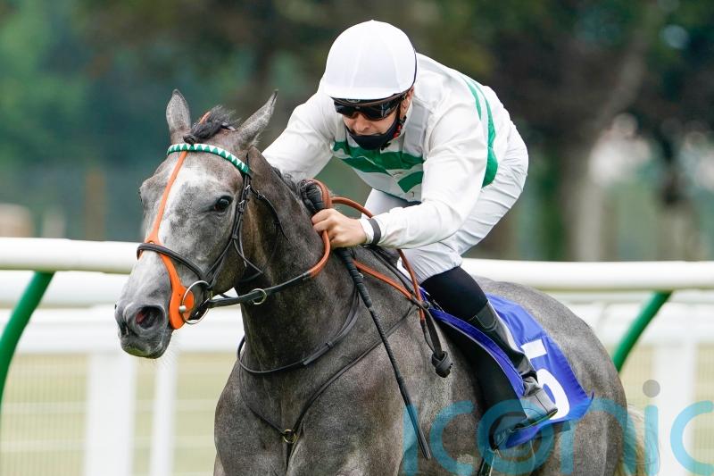 Rausing ‘pondering’ pros and cons of potential Japan Cup bid for Alpinista