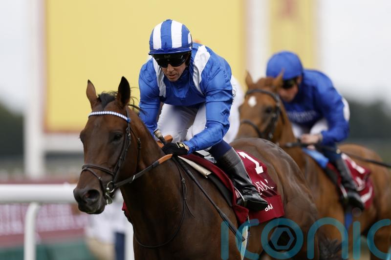 Baaeed bound for Nunnery Stud following Ascot swansong