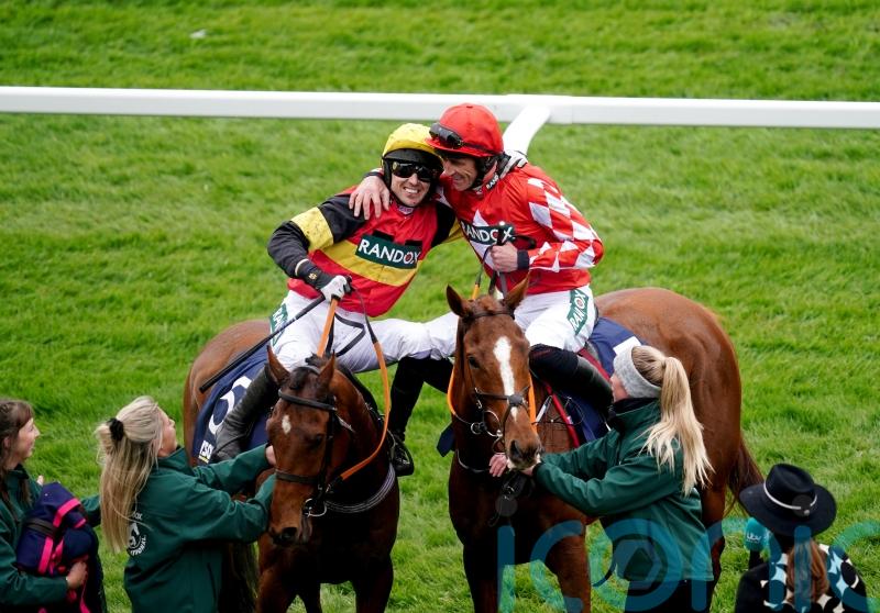 Cheltenham run key to Knight Salute campaign