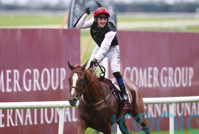 Time called on career of star mare Search For A Song