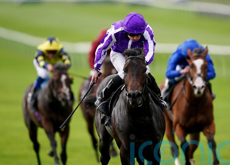O’Brien full of praise for Breeders’ Cup-bound Blackbeard