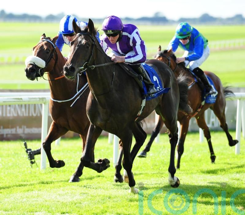 High Definition joins Joseph O’Brien to go hurdling