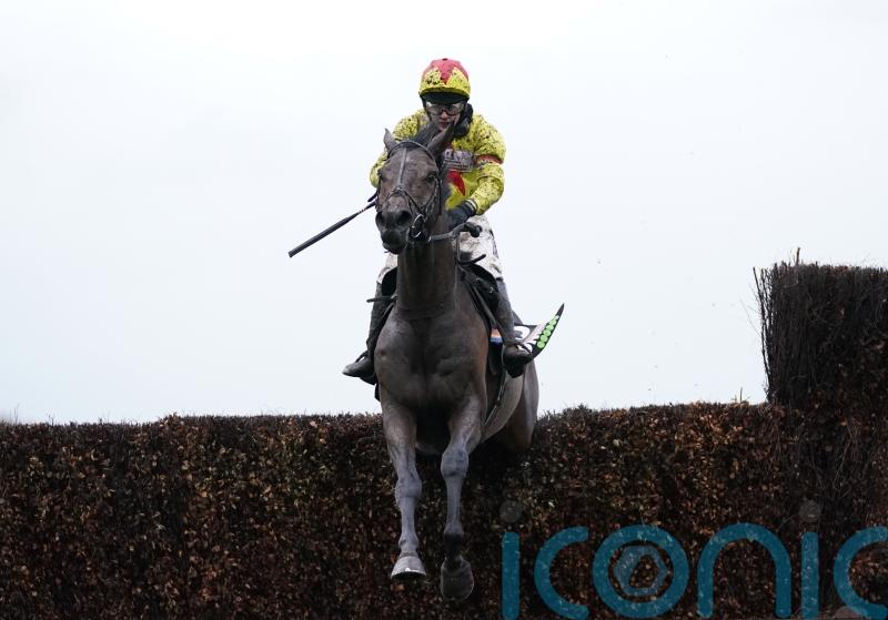 Betfair Chase ‘100 per cent’ the right race for Protektorat