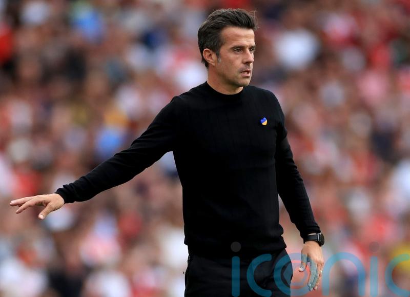 Fulham boss Marco Silva: We are really an ambitious football club right now