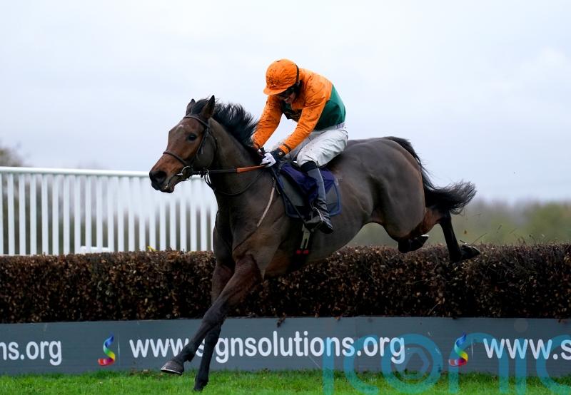 Henry Daly happy to bypass Festival options with Blenkinsop