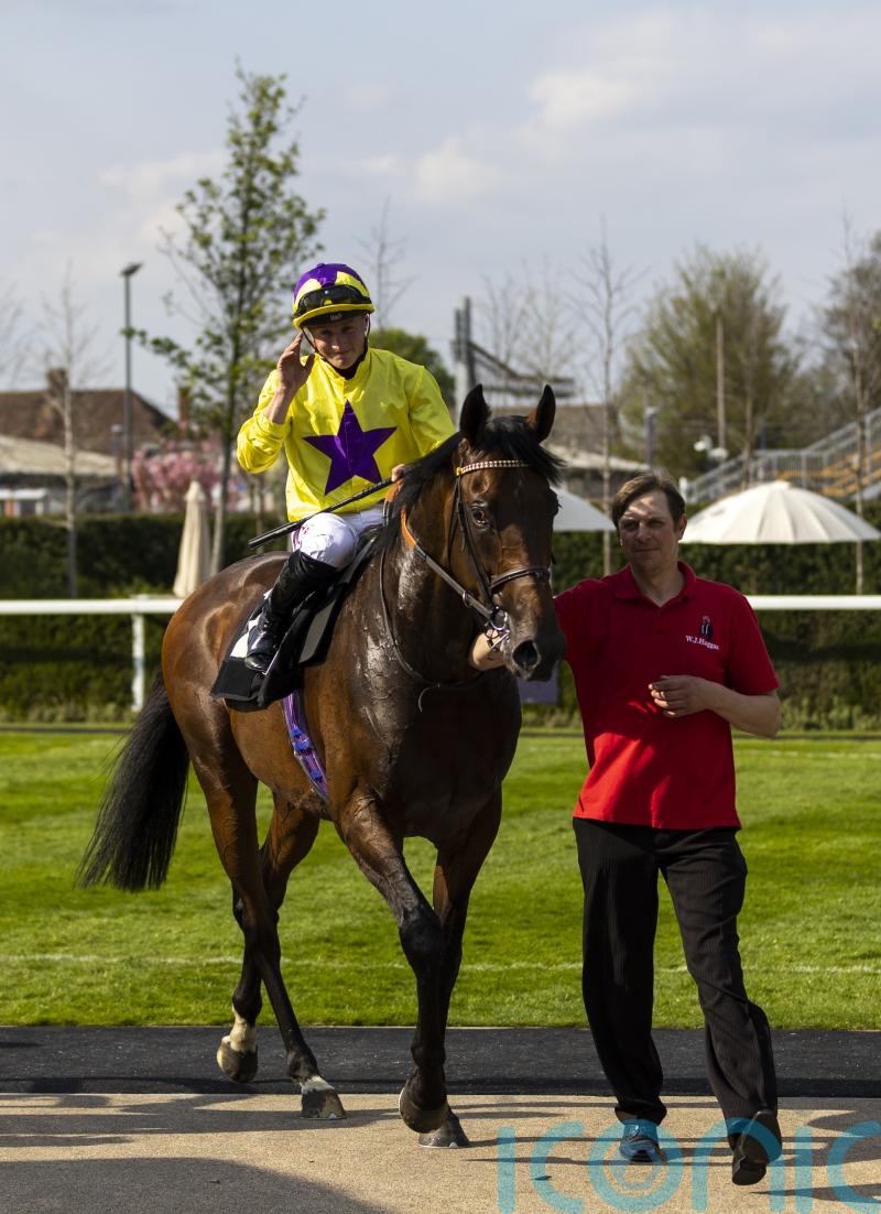 My Prospero firing Marquand dreams in big year ahead