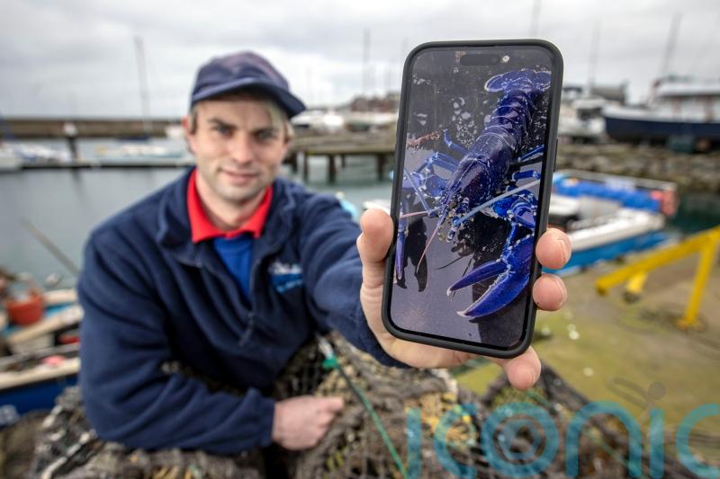 &nbsp;Fisherman beat 'one in two million chance' to catch rare blue lobster in NI lough