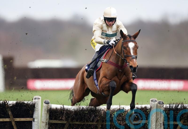 Aintree on Wadham’s mind for Hurricane Bay