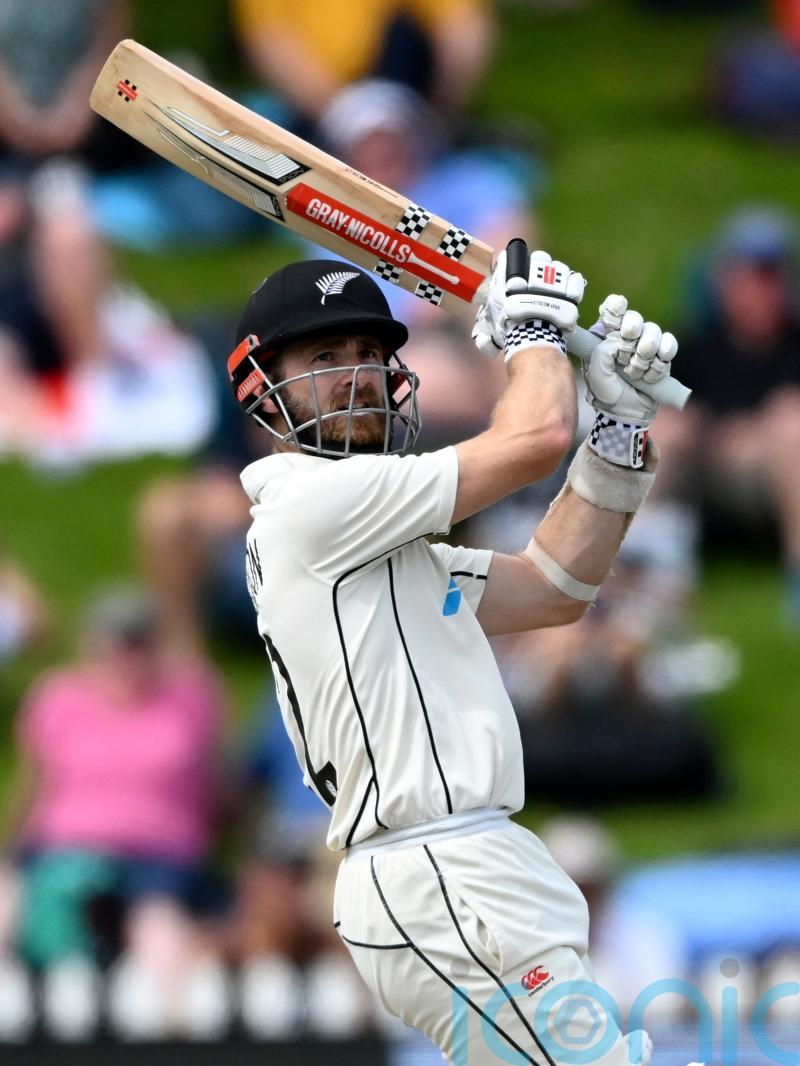 Kane Williamson holds England up as New Zealand rally in Wellington