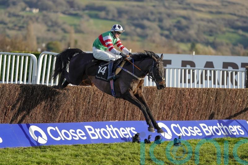 Cheltenham off the agenda for Chatham Street Lad