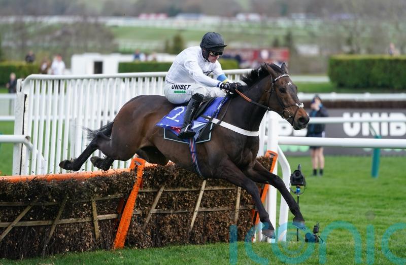 Constitution Hill tops 12 in Champion Hurdle contention