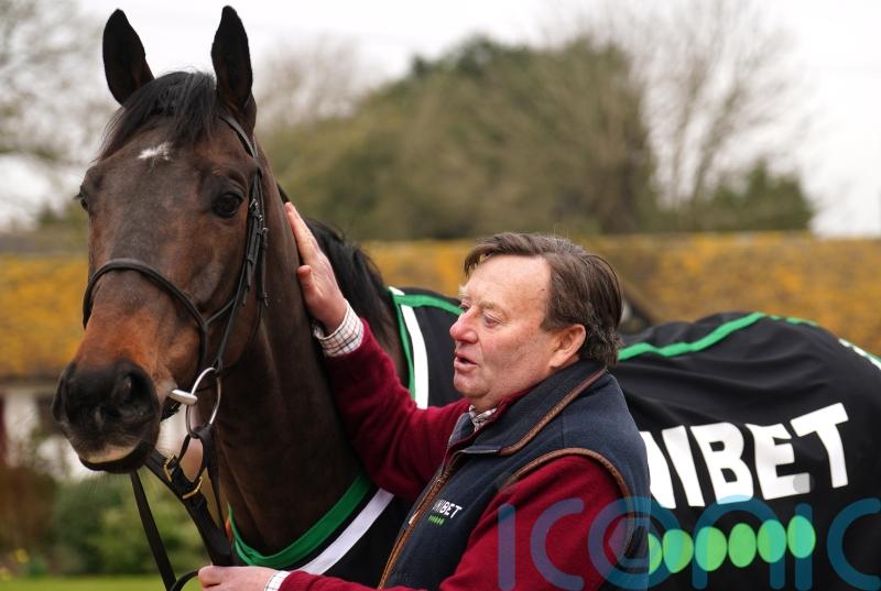 Constitution Hill and Henderson the people’s champs, says Henrietta Knight