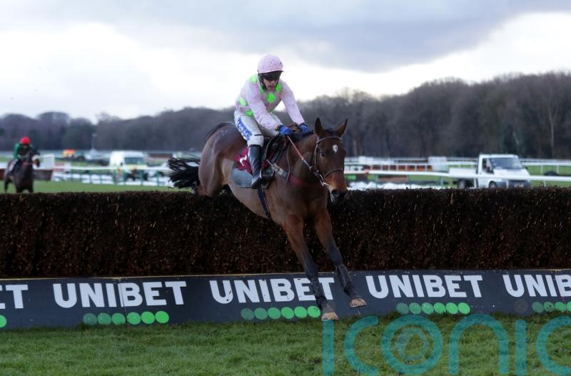 Williams on weather watch for National hope Royale Pagaille