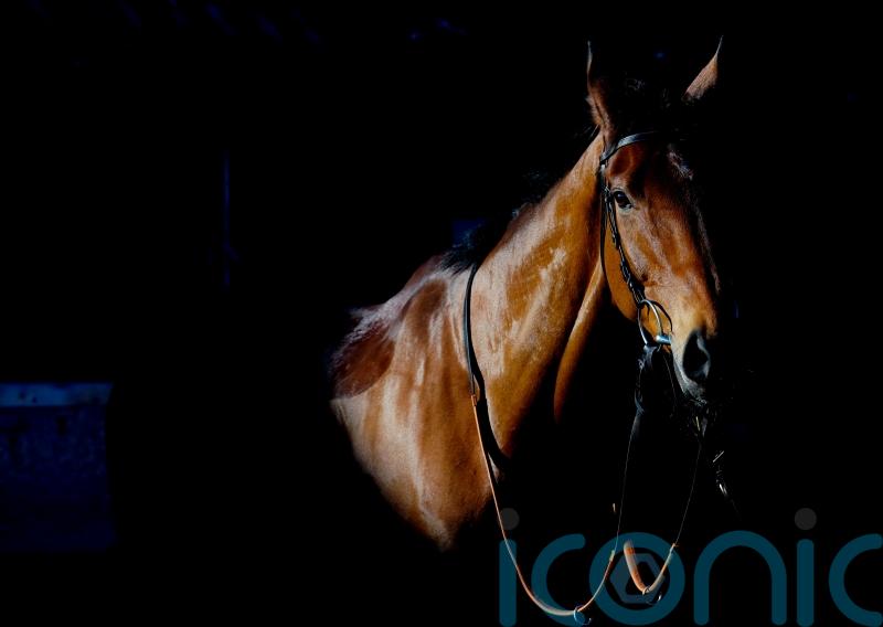 Dance ‘incredibly proud’ of Bravemansgame’s Cheltenham defeat