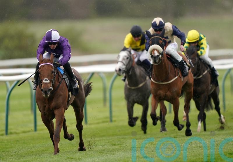 Haynes to aim higher with Nottingham victor Fix You