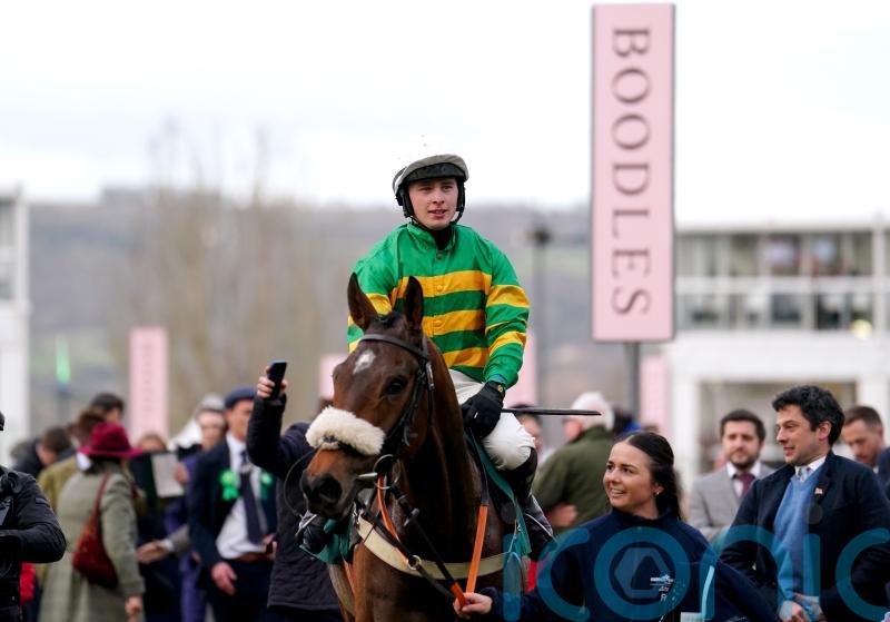 Iroko makes leap from handicap glory to Grade One test