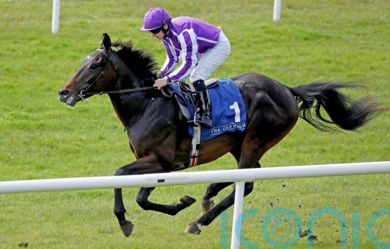 Democracy rules at the Curragh with impressive debut