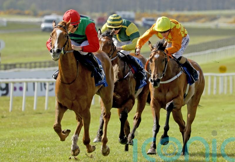 Goldana sparkles on first start for Joseph O’Brien