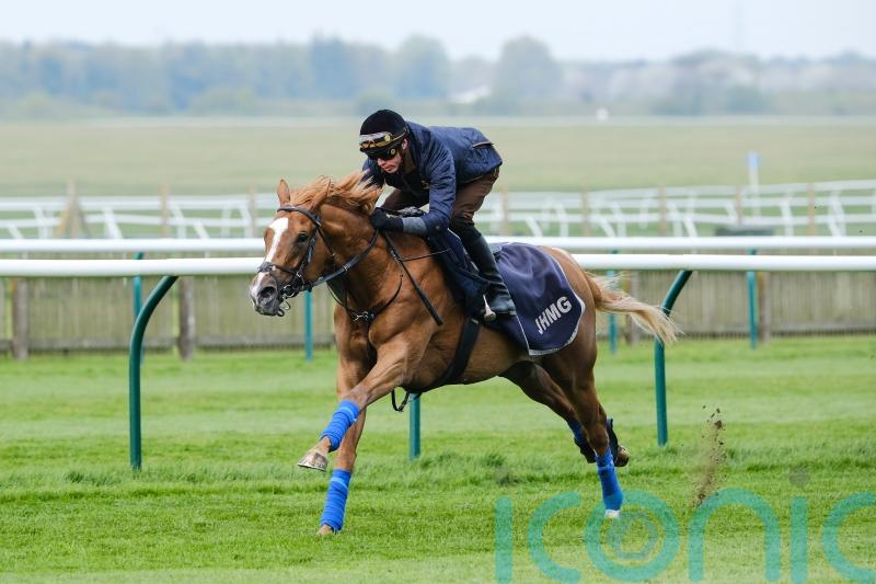 Slipofthepen still in Guineas frame following Newmarket workout