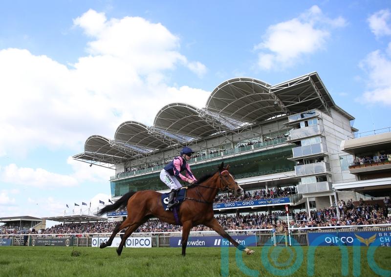 Pretty Polly a possible pick for Via Sistina