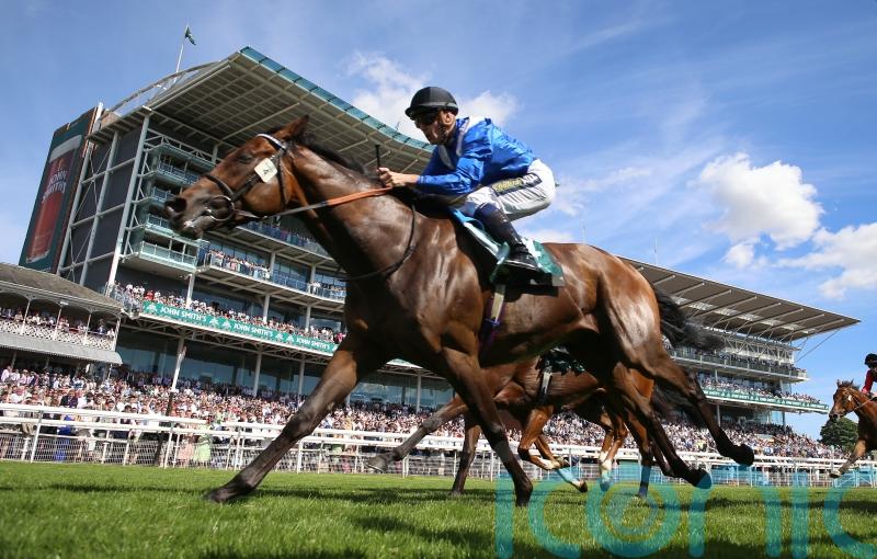 Anmaat hunting Group One gold at ParisLongchamp