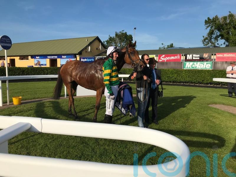 Winning start for Annie Power’s first foal Mystical Power