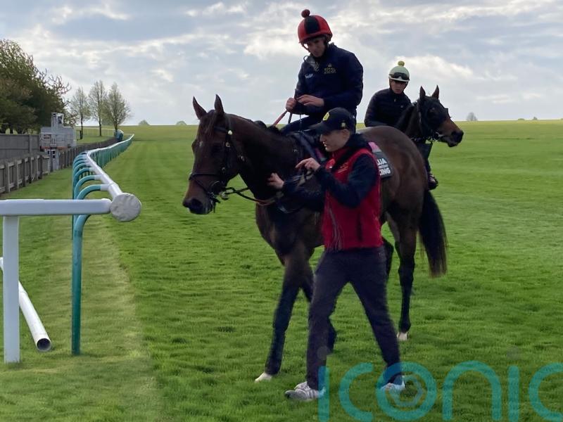 The Astrologist’s team predicting big Haydock effort