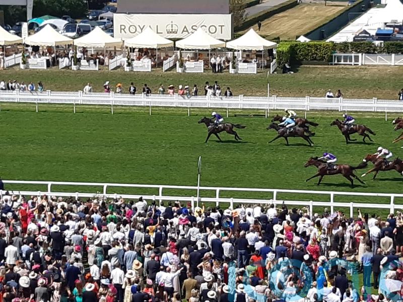 Valiant Force produces 150-1 Norfolk Stakes surprise