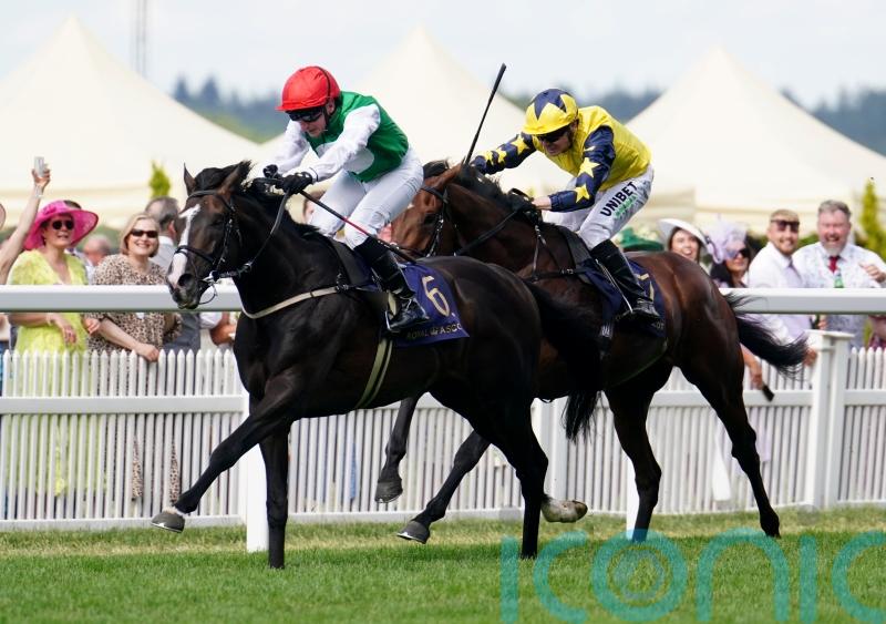 Pyledriver returns in brilliant style to land Hardwicke success