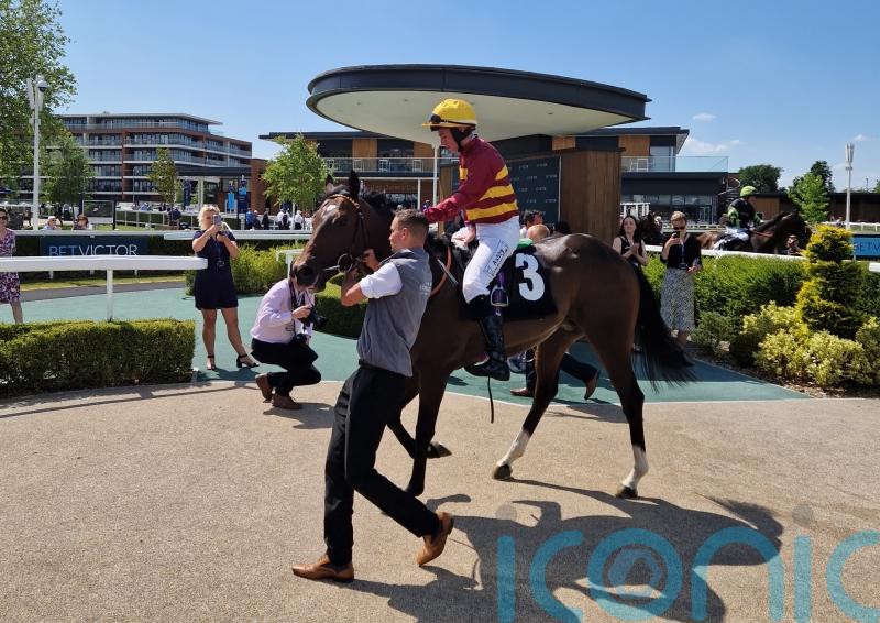 Iberian could tackle Listed company at Ascot