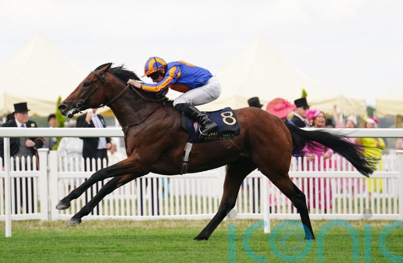 Paddington and Inspiral set for Sussex clash