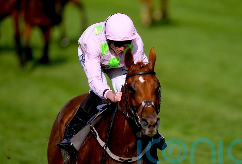 Mullins hoping to see Vauban book Melbourne Cup ticket