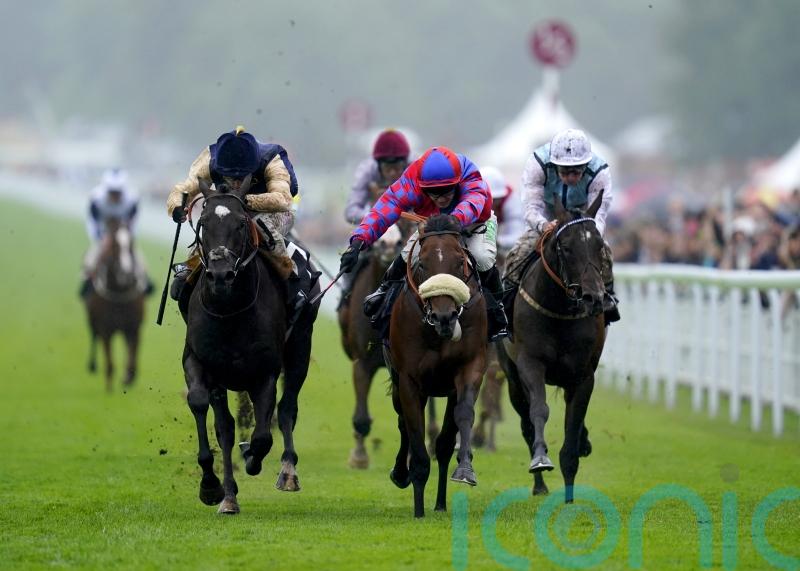 Conditions key to Big Evs Nunthorpe challenge