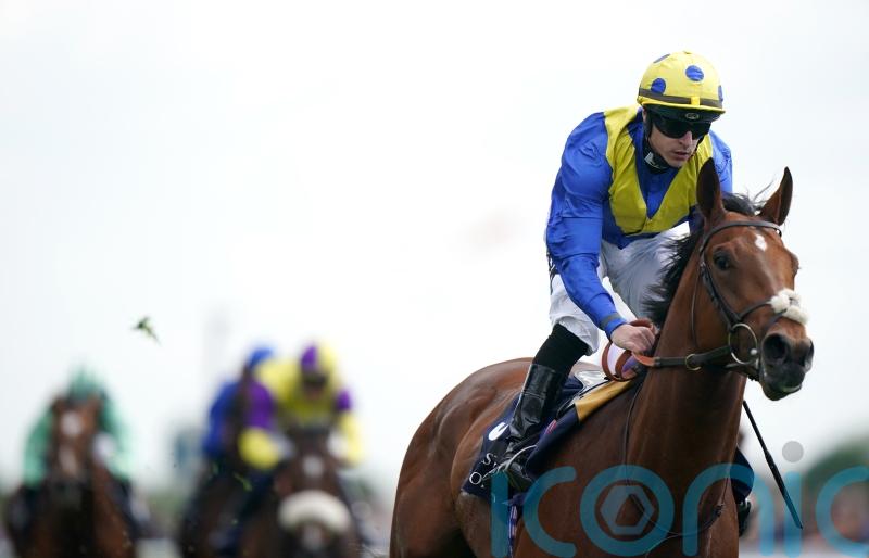 Desert Crown on target for International duty