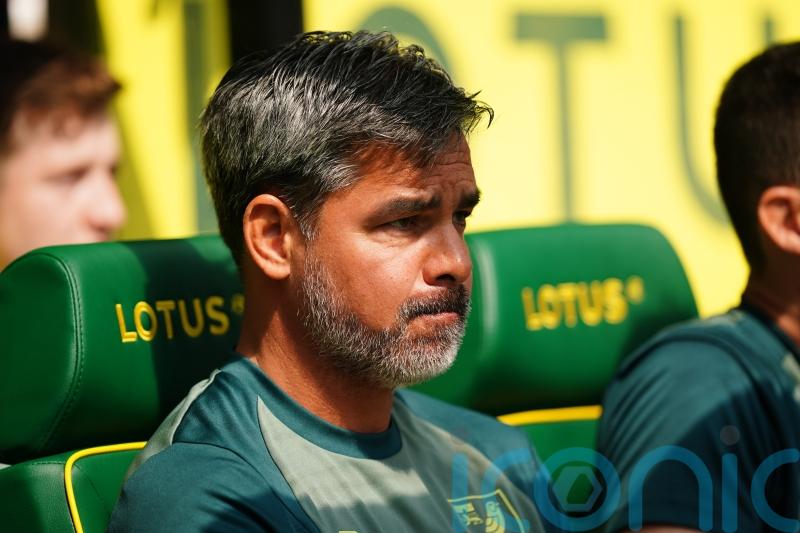 David Wagner encouraged by Norwich’s start to the season
