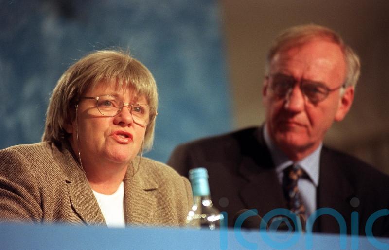 Irish ‘liked to roll pitch in their favour’ in intergovernmental conferences