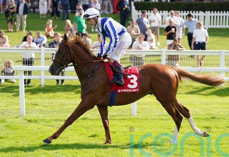 Plenty of options for Devil’s Point after encouraging Sandown run