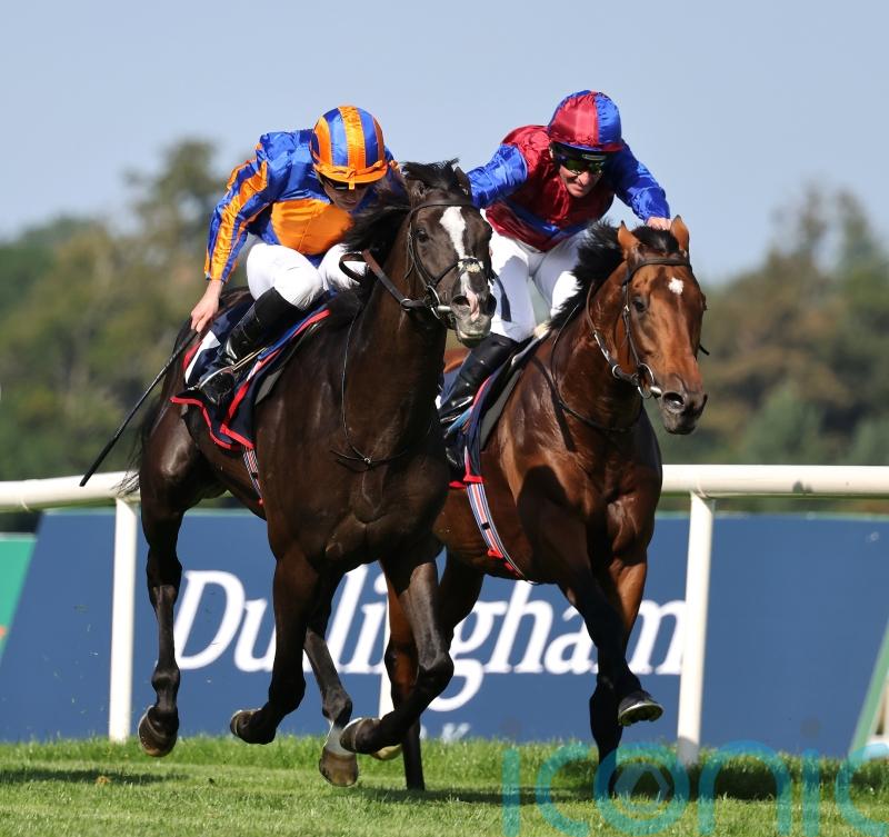 Breeders&rsquo; Cup bid set to beckon for Auguste Rodin