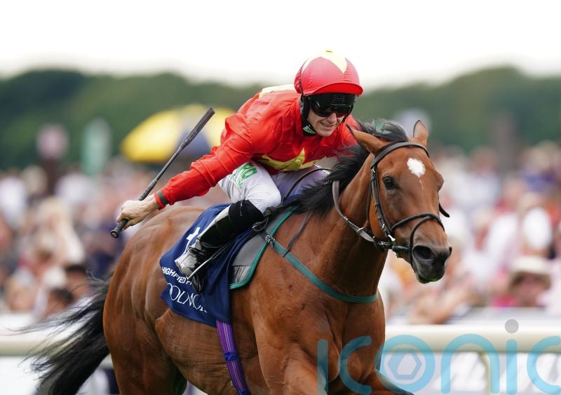 Overseas options set to come under the microscope for Highfield Princess