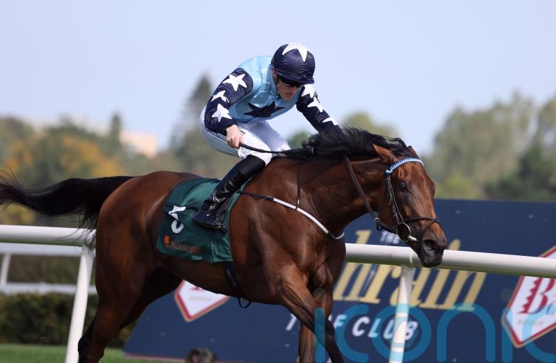 Kitty Rose could be derailed by Curragh ground conditions