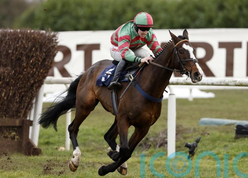Old Roan looks to be on the cards for Tommy’s Oscar