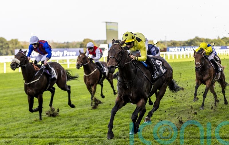 Emaraaty Ana may have booked Breeders’ ticket with Ascot win