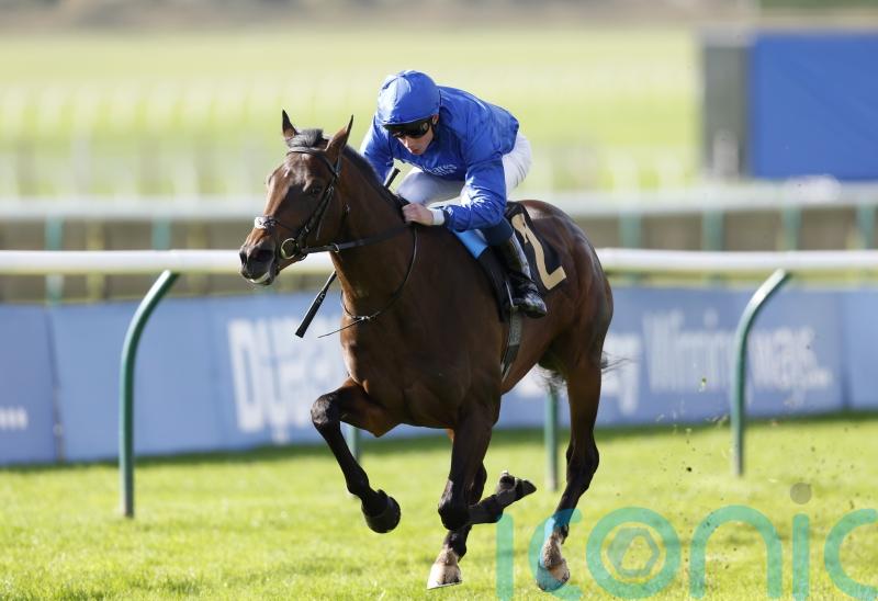 Ancient Wisdom impresses with clear-cut Autumn success