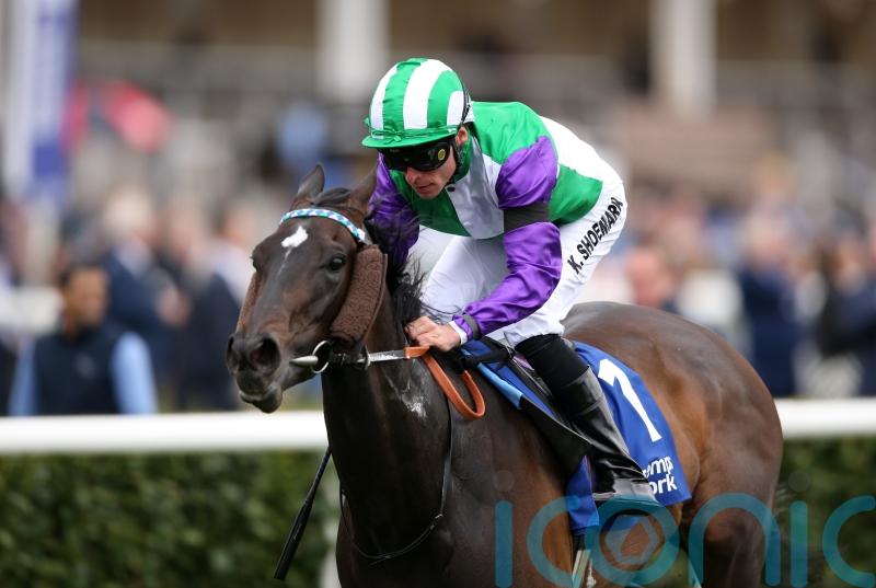 Fellowes enthused by likely Ascot going for Vadream