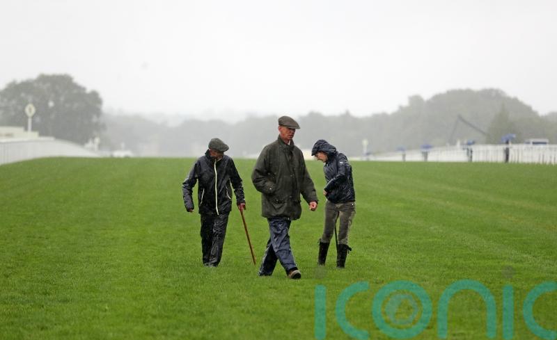 Stickels rates track switch ‘pretty likely’ for Champions Day