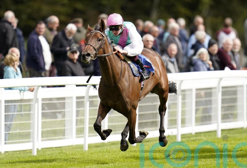 Bluestocking to stay in training after narrow Ascot defeat